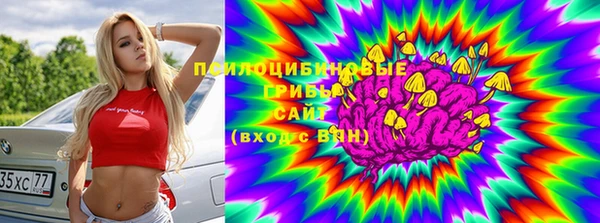 прущая мука Богданович